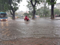 Ảnh bìa bài viết 484445