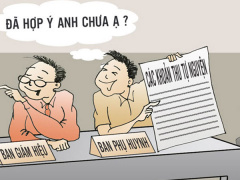 Ảnh bìa bài viết 484453