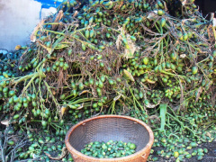 Ảnh bìa bài viết 484492