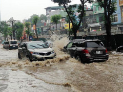 Ảnh bìa bài viết 484809