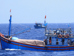 Ảnh bìa bài viết 484718