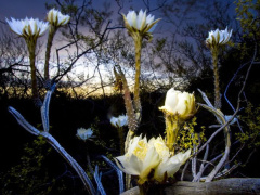 Ảnh bìa bài viết 484807