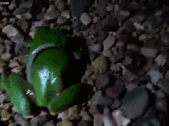 Ảnh bìa bài viết 484650