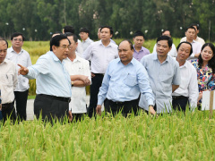 Ảnh bìa bài viết 484862