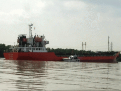 Ảnh bìa bài viết 484597