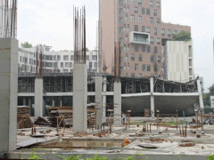 Ảnh bìa bài viết 484874