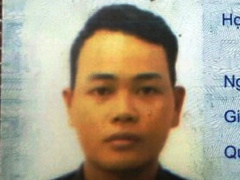 Ảnh bìa bài viết 485159