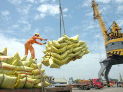 Ảnh bìa bài viết 485269