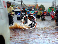 Ảnh bìa bài viết 485214