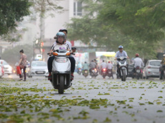Ảnh bìa bài viết 485669