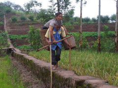 Ảnh bìa bài viết 485514