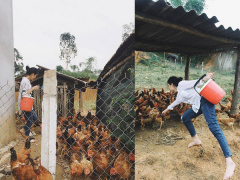 Ảnh bìa bài viết 485506