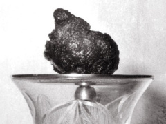 Ảnh bìa bài viết 485630