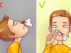 Ảnh bìa bài viết 485849