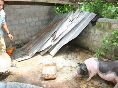 Ảnh bìa bài viết 486122