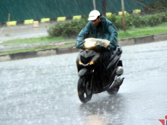 Ảnh bìa bài viết 485982