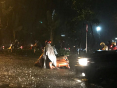 Ảnh bìa bài viết 486134