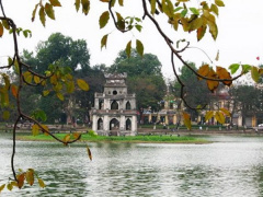Ảnh bìa bài viết 486156