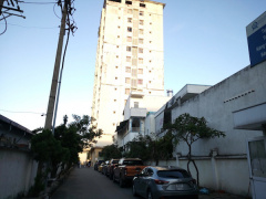 Ảnh bìa bài viết 486195