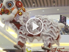 Ảnh bìa bài viết 486266