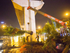Ảnh bìa bài viết 486323