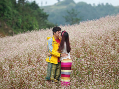 Ảnh bìa bài viết 486646