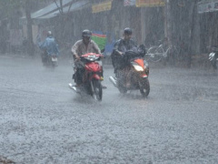 Ảnh bìa bài viết 486595