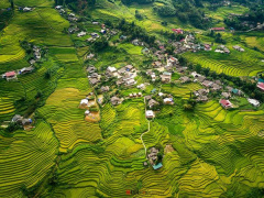 Ảnh bìa bài viết 486901