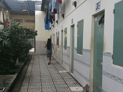 Ảnh bìa bài viết 487325