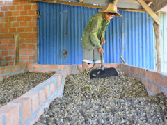 Ảnh bìa bài viết 487444
