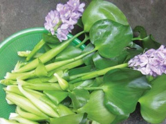 Ảnh bìa bài viết 487816