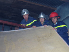 Ảnh bìa bài viết 487912