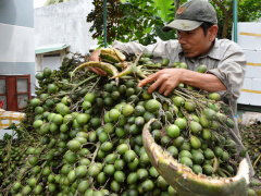 Ảnh bìa bài viết 487837