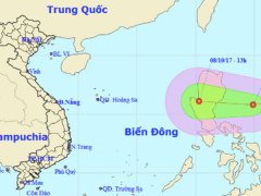 Ảnh bìa bài viết 487936