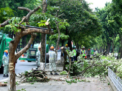 Ảnh bìa bài viết 488335