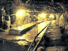Ảnh bìa bài viết 488237