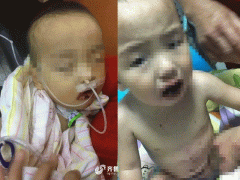 Ảnh bìa bài viết 488147