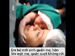 Ảnh bìa bài viết 488269