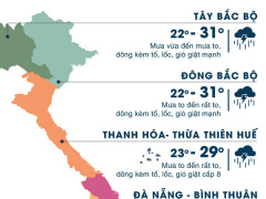 Ảnh bìa bài viết 488415
