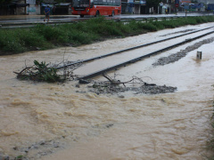 Ảnh bìa bài viết 488532