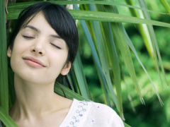 Ảnh bìa bài viết 488641
