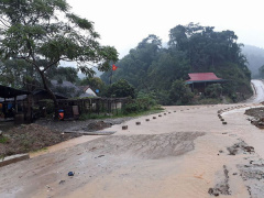 Ảnh bìa bài viết 488547