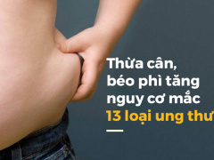 Ảnh bìa bài viết 488573