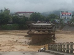 Ảnh bìa bài viết 488977