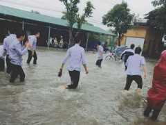 Ảnh bìa bài viết 489245