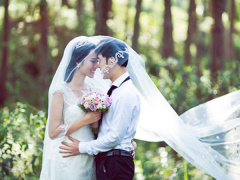 Ảnh bìa bài viết 489192