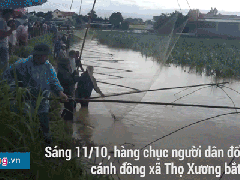 Ảnh bìa bài viết 489102