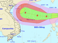 Ảnh bìa bài viết 489319