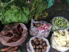 Ảnh bìa bài viết 489501
