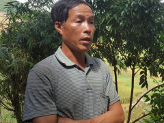 Ảnh bìa bài viết 489340